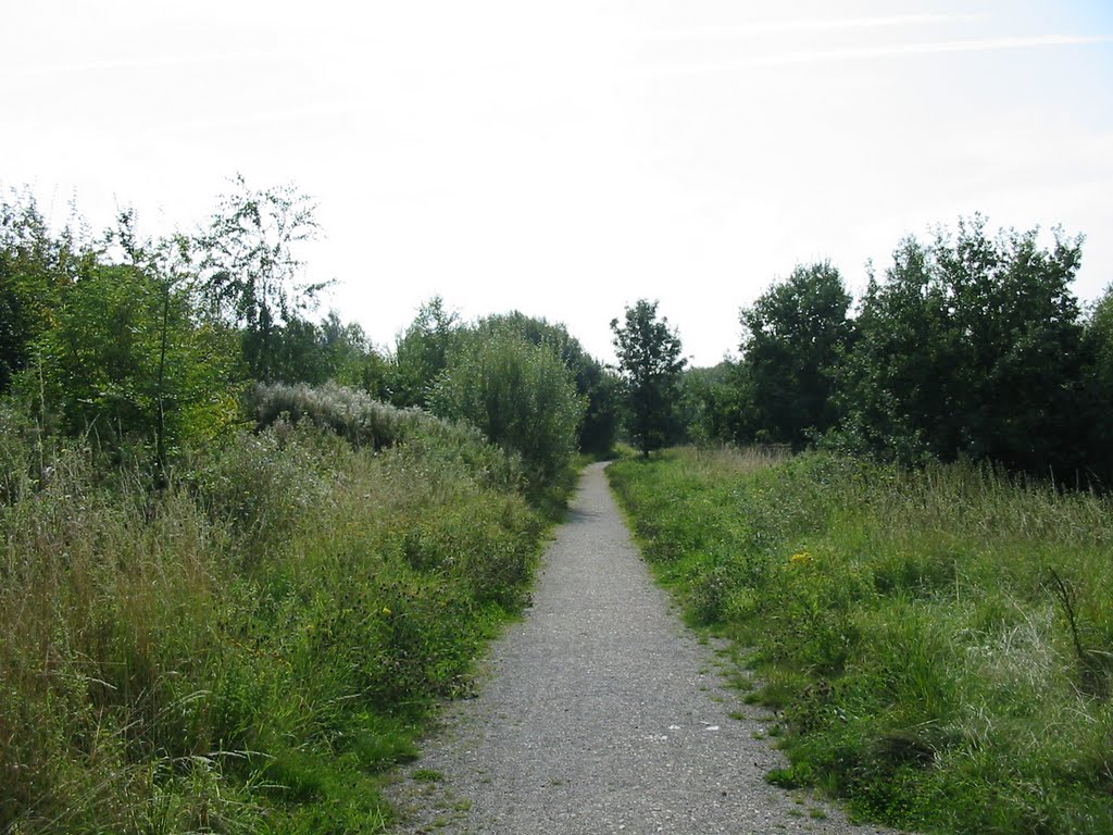 Path heading South