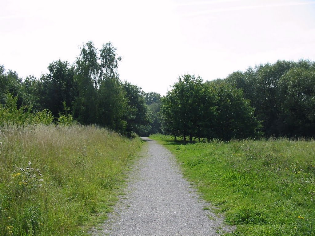 Path heading South