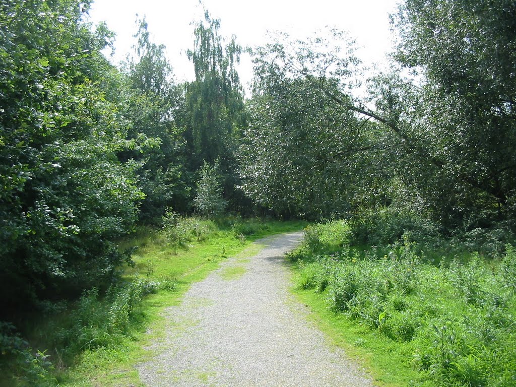 Path heading South
