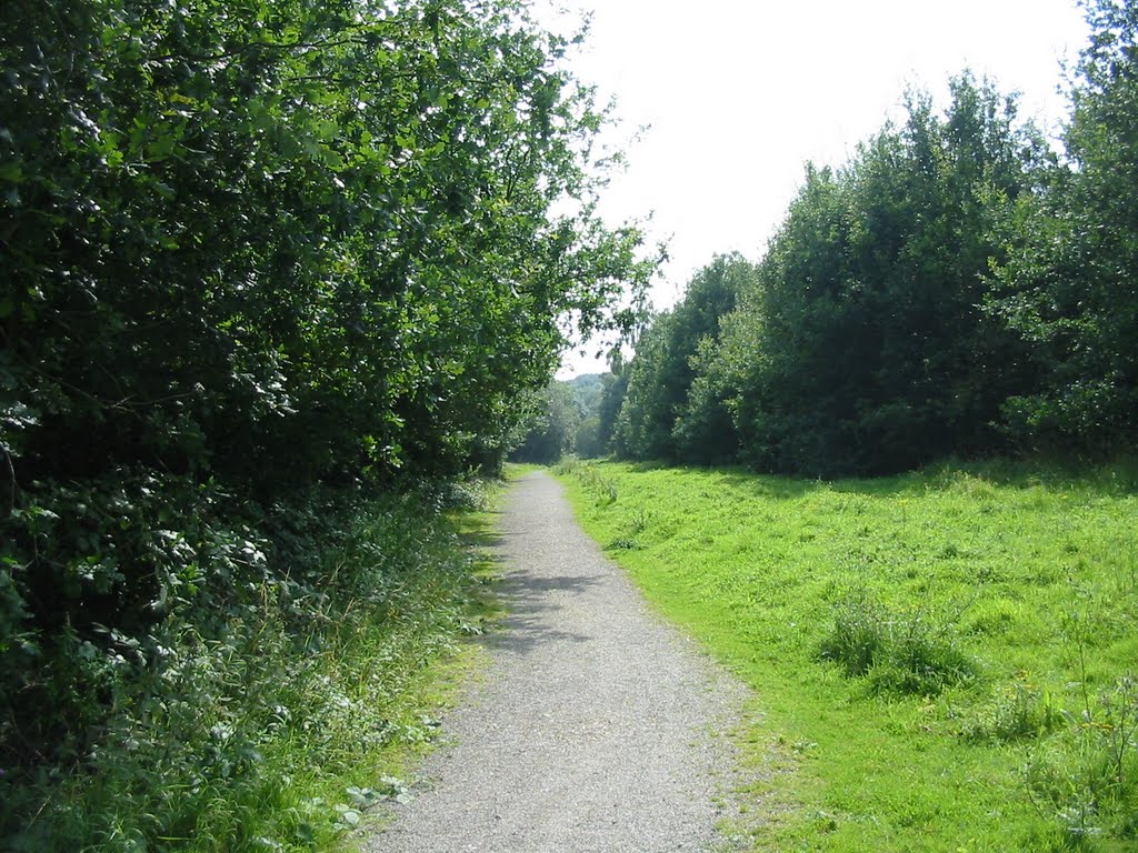 Path heading South