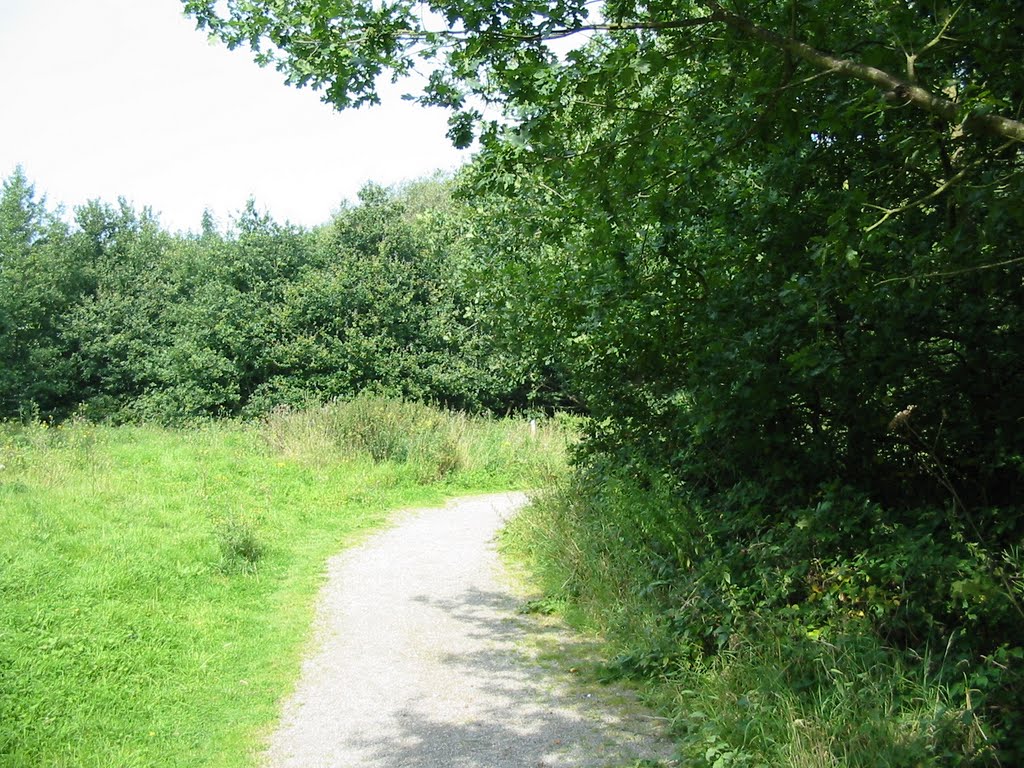 Path heading North