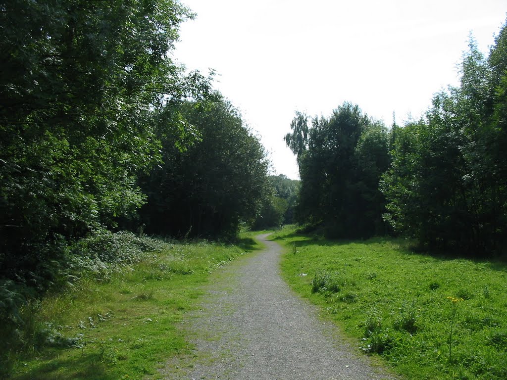 Path heading South