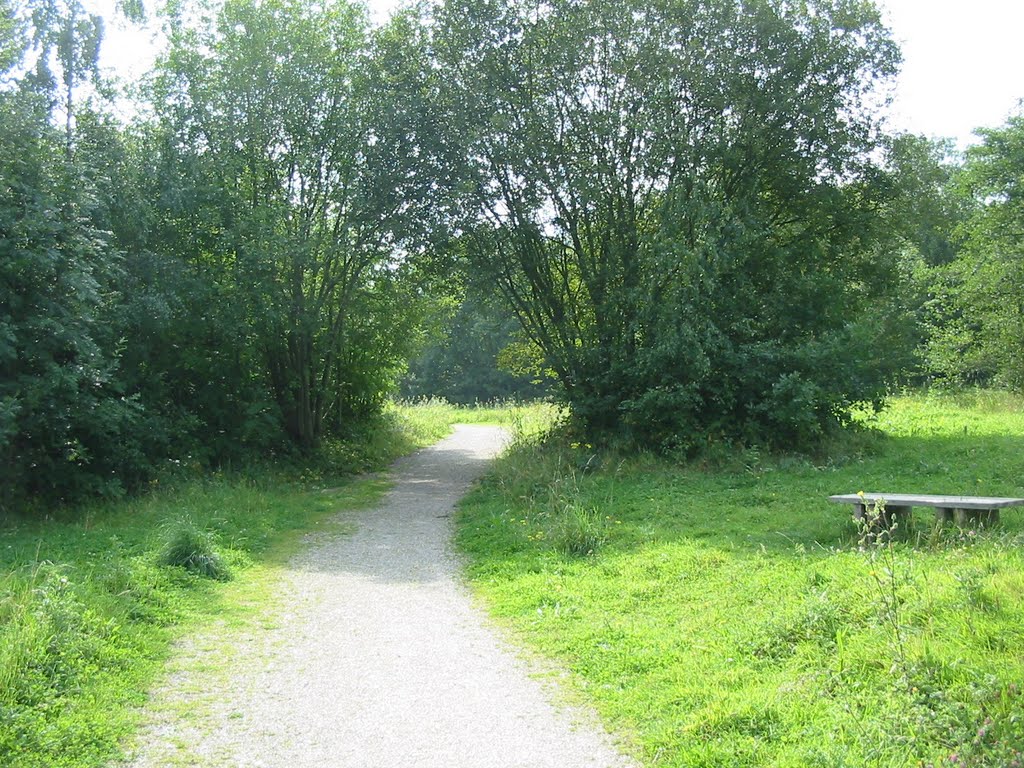 Path heading South