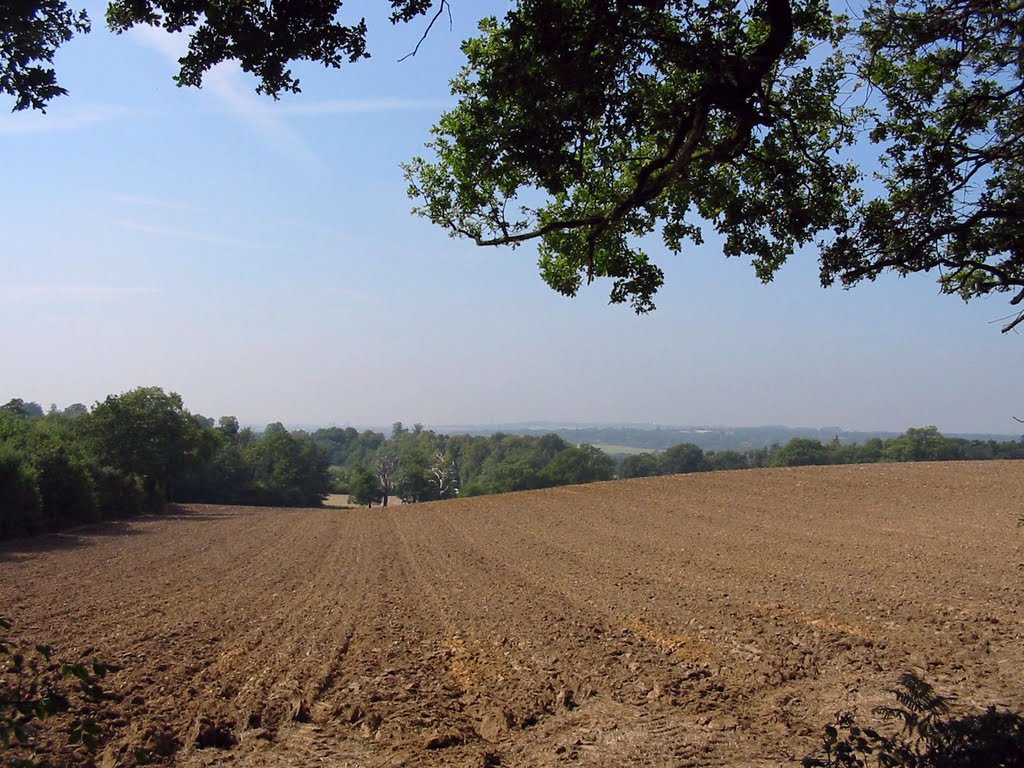 Looking across field
