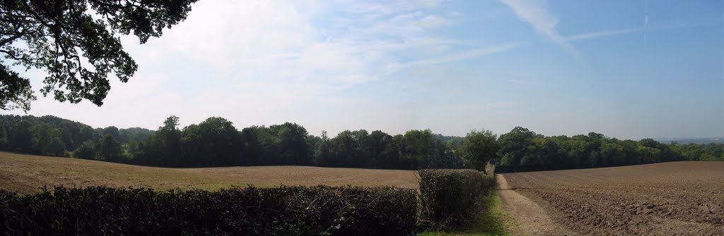 View from Great Ropers Lane