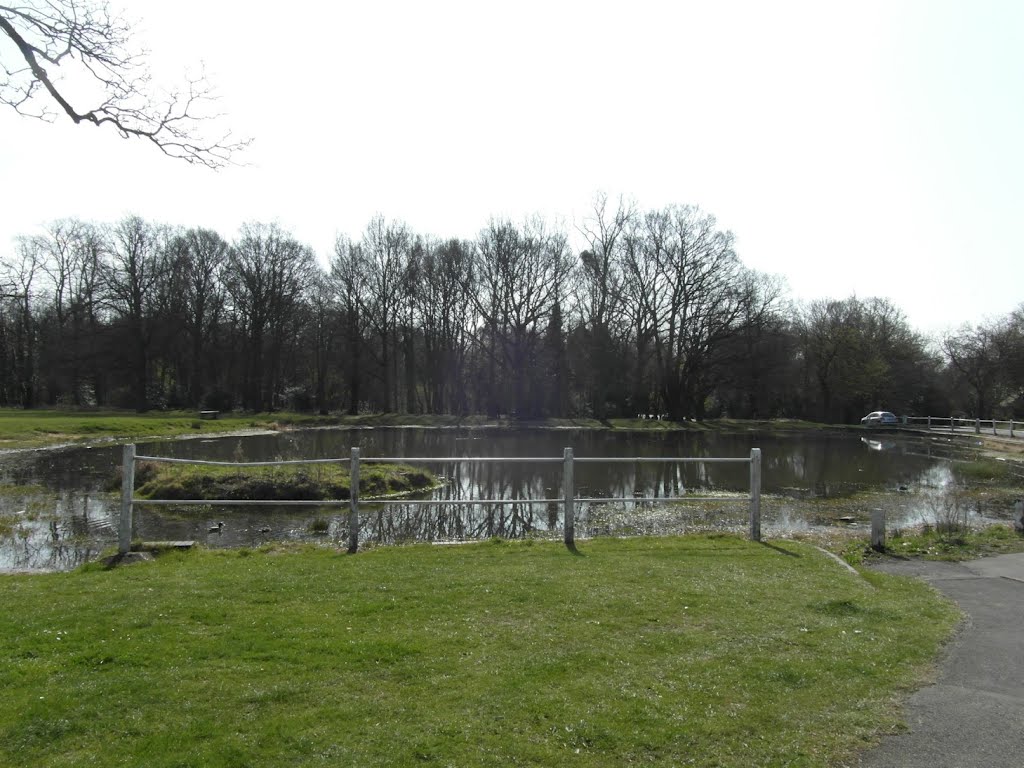 Pond on Shenfield Common