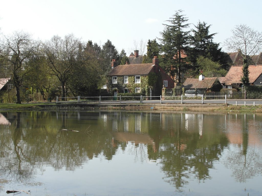 Pond on Shenfield Common