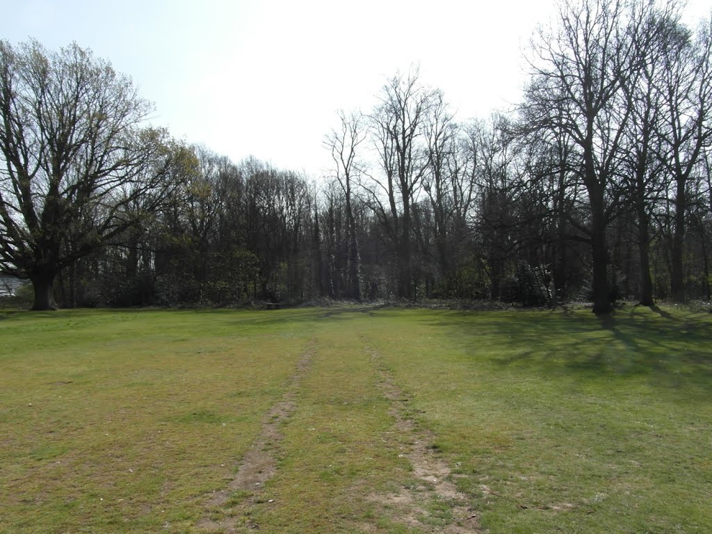 Shenfield Common