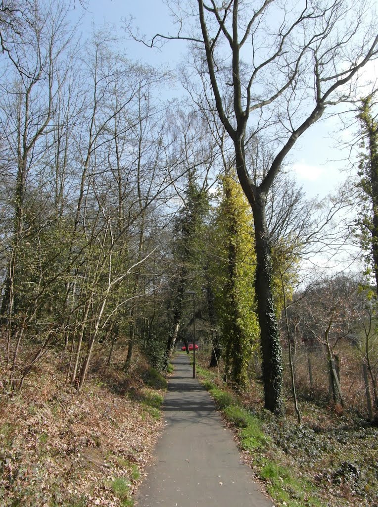 Path through Shenfield Common