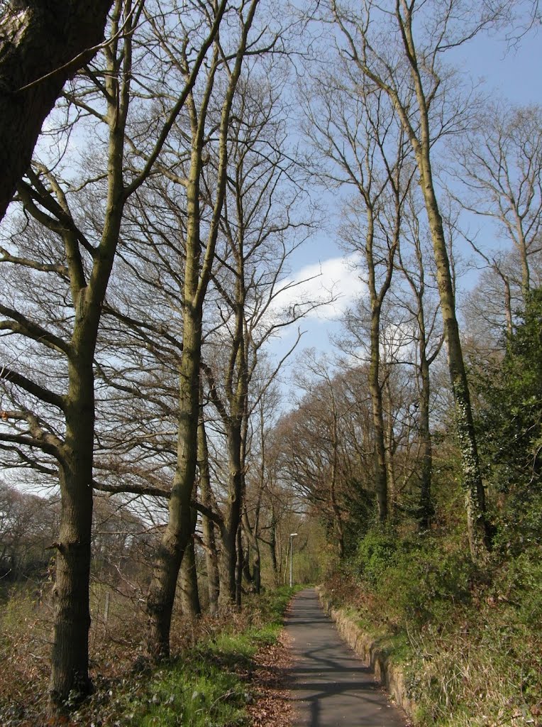 Shenfield Common