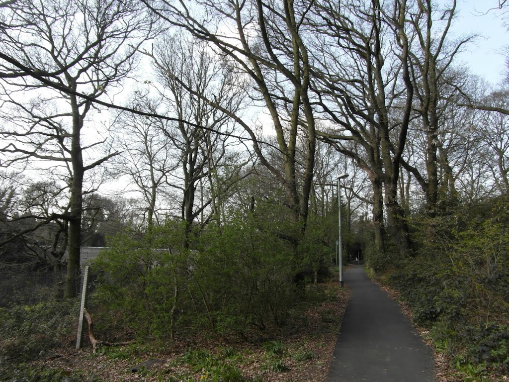 Shenfield Common