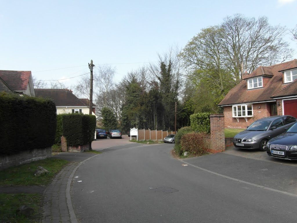 Cornsland