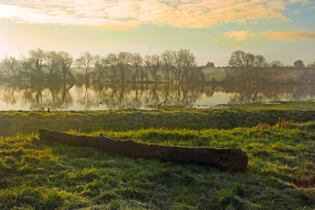 Morning Mist