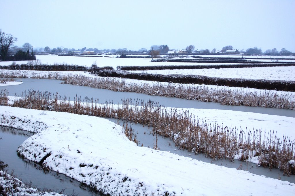 Snowy Fields - February 2009