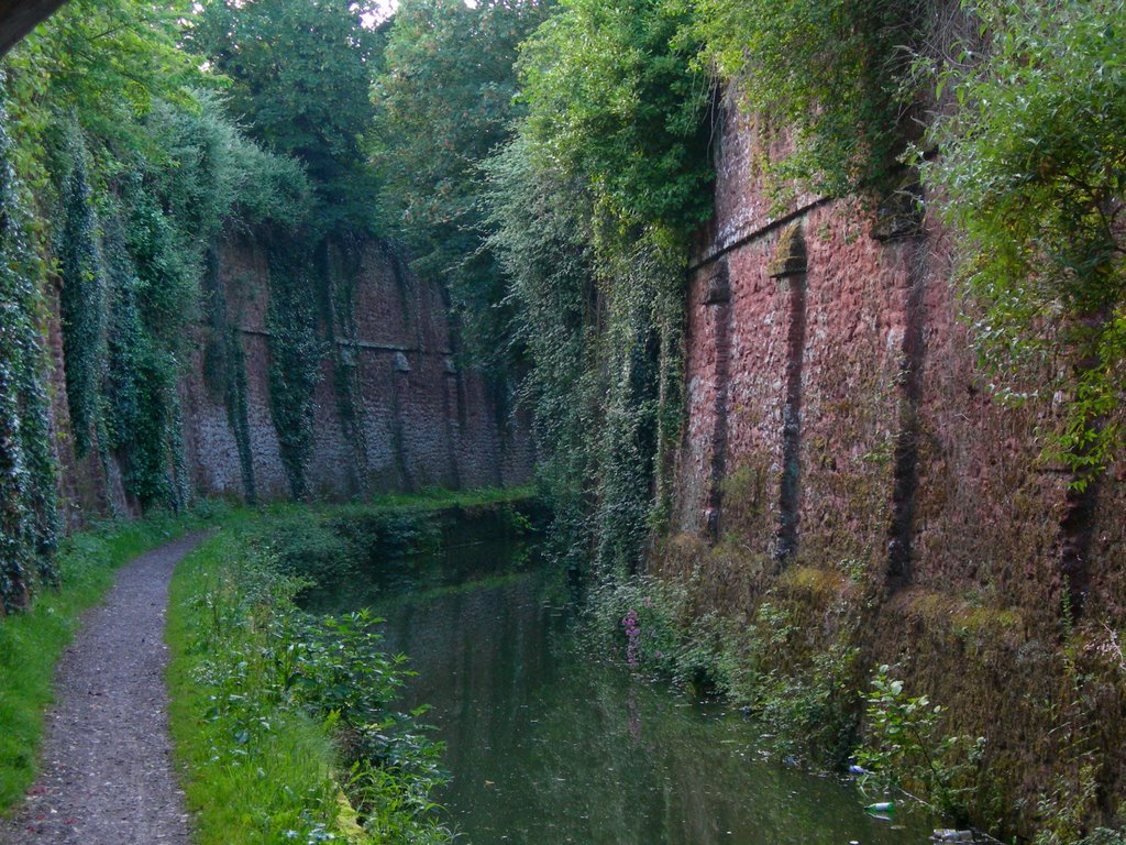 Bridgwater canal