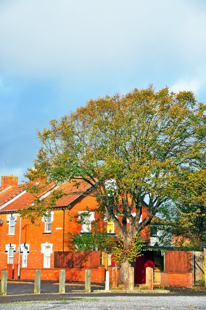 Blacklands, Bridgwater
