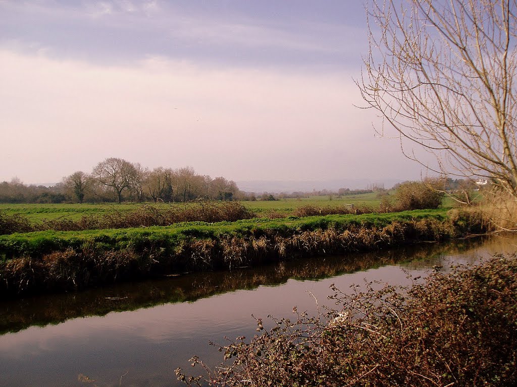 Winter Sun on the Bridgwater & Taunton