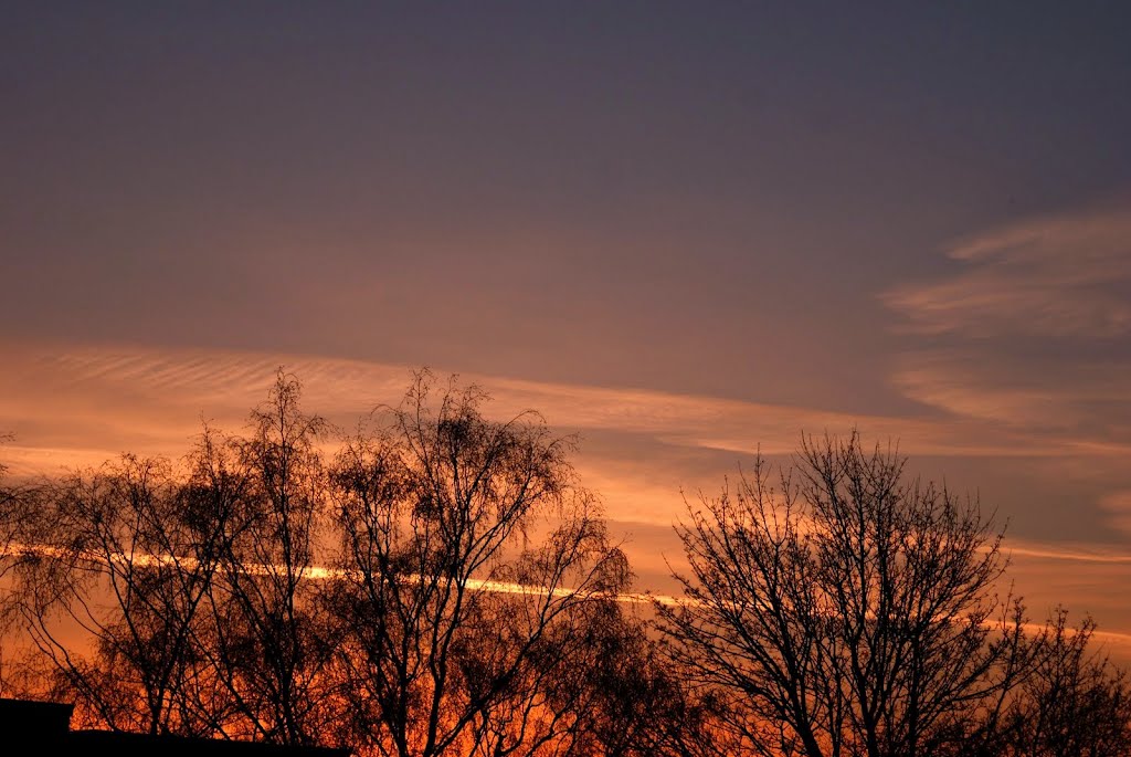 Winter Sunset