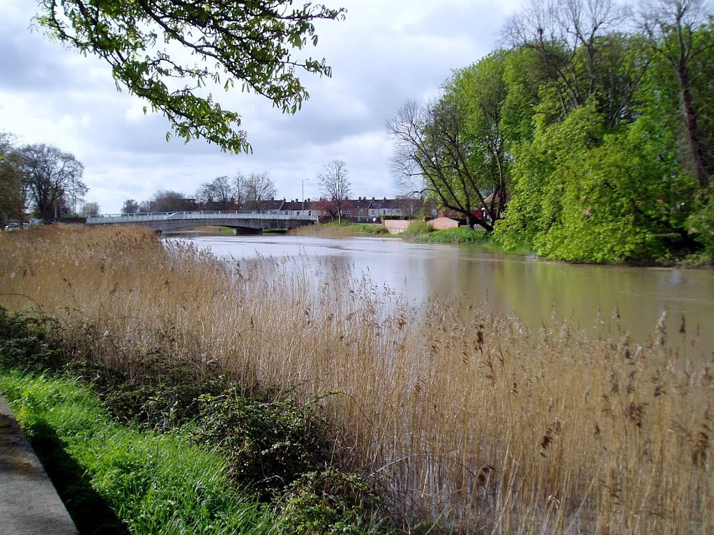 High Tide
