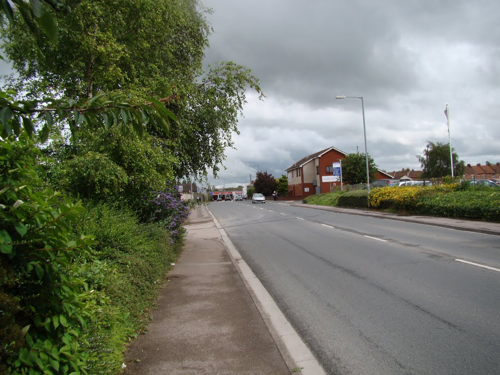 The Drove