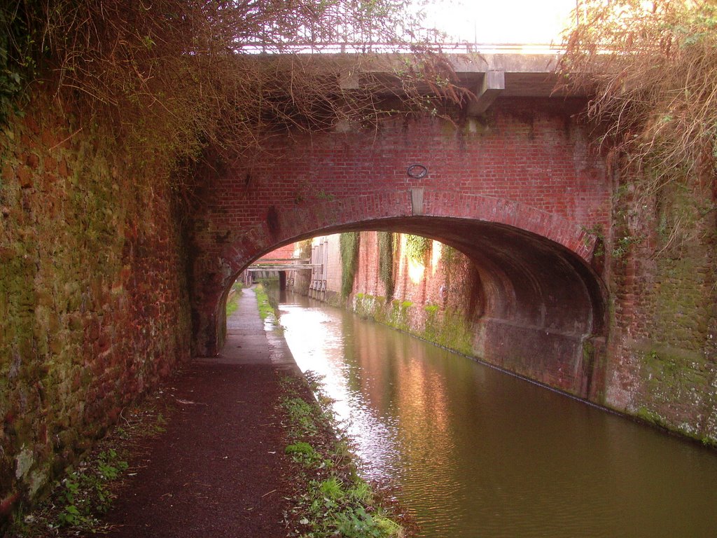 on the Taunton & Bridgwater Canal