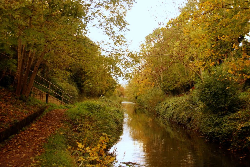 Autumn on the Canal