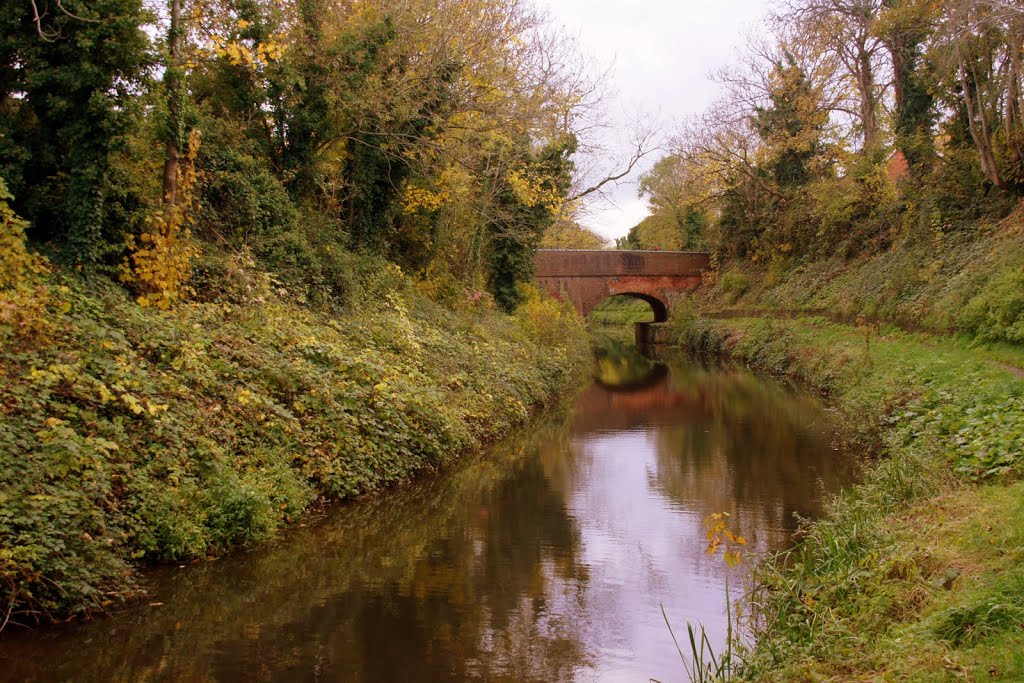 Bridgwater & Taunton Canal