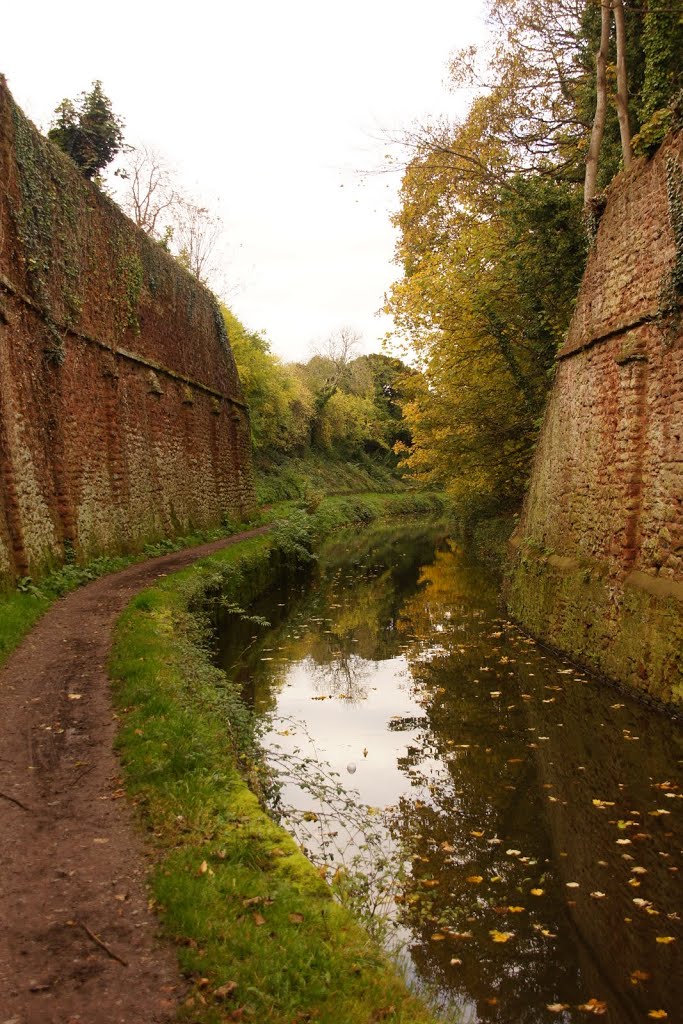 Autumn in the Cutting