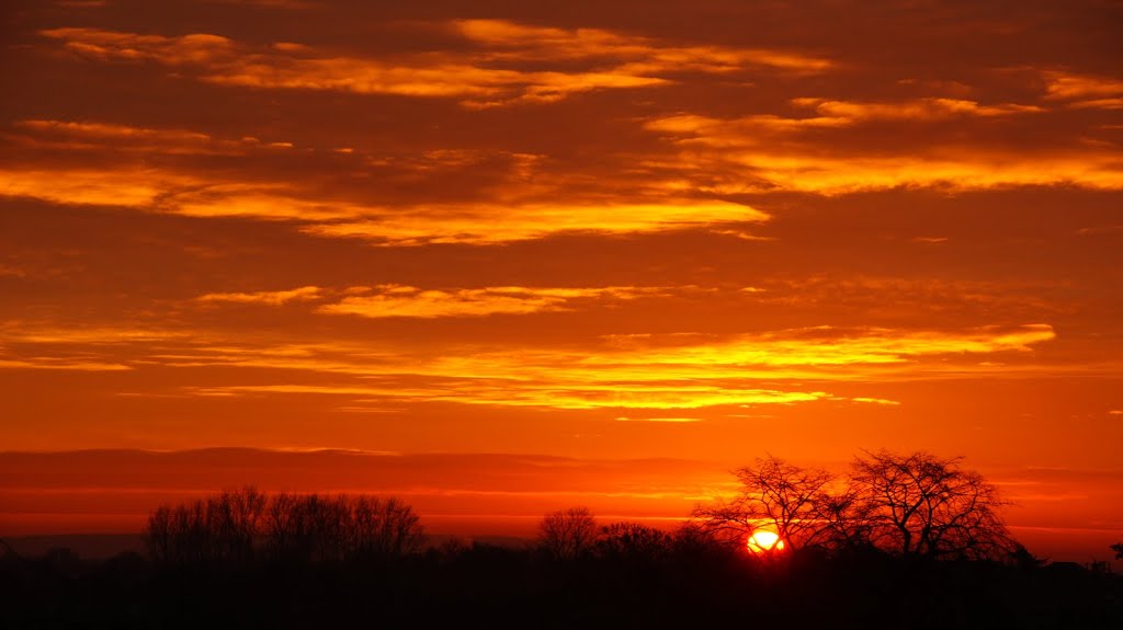 Sunrise