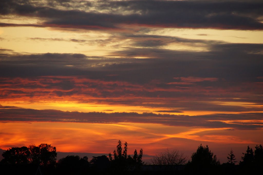Bridgwater Sunset