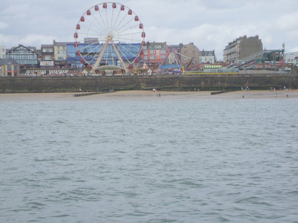 Amusements from the sea