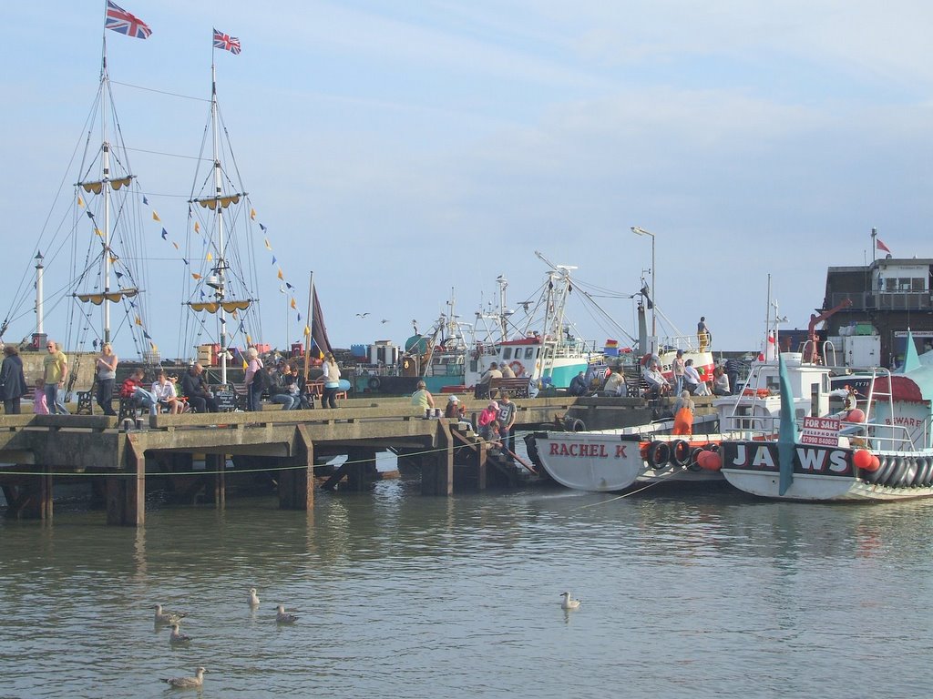 Brid harbour