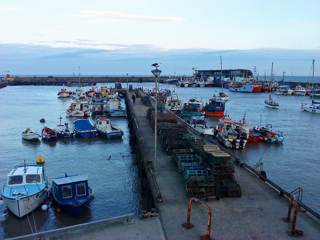 Bridlington Harbour At Dusk