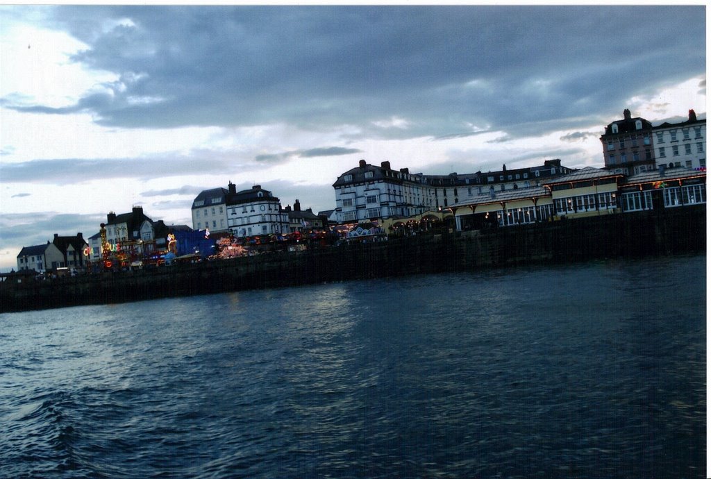 Brid view from a ferry trip