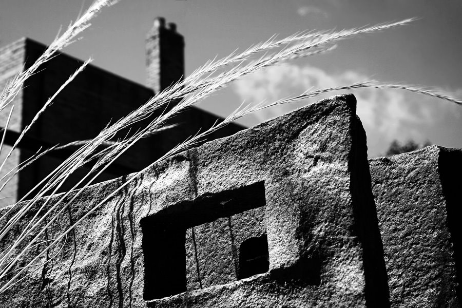 Wild Grass And Iron Cast