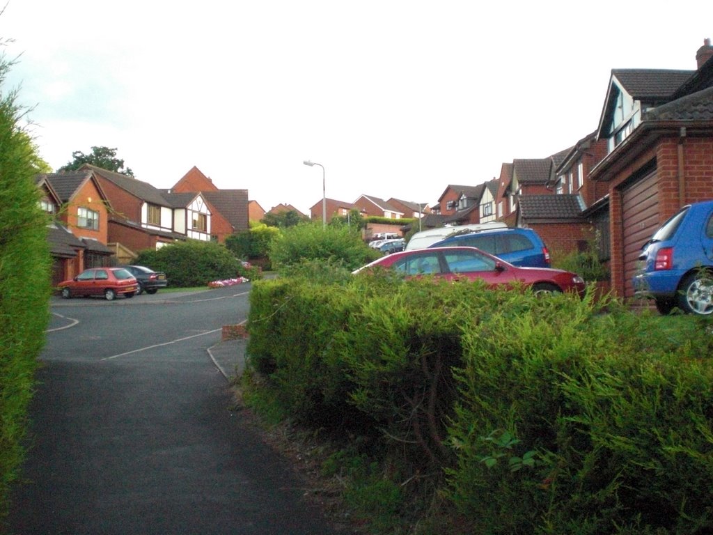 Stoke Heath-2008