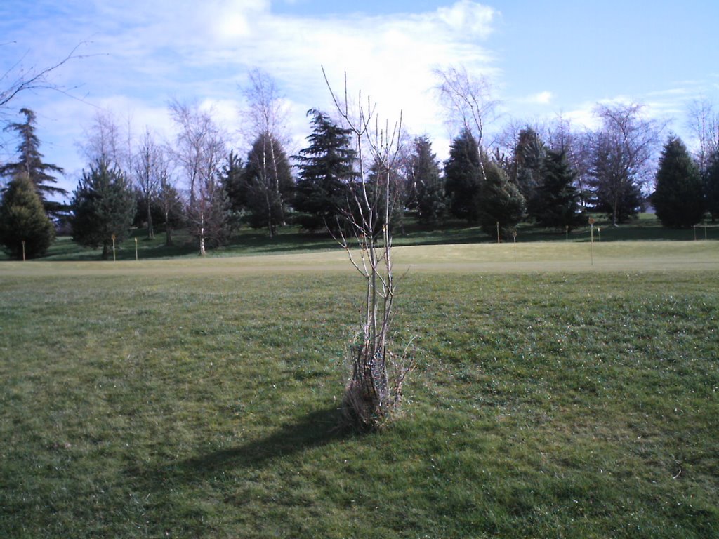 Bromsgrove 2008-Golf Club