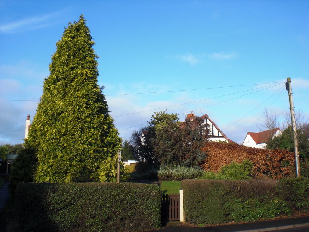 Bromsgrove Historic Walk