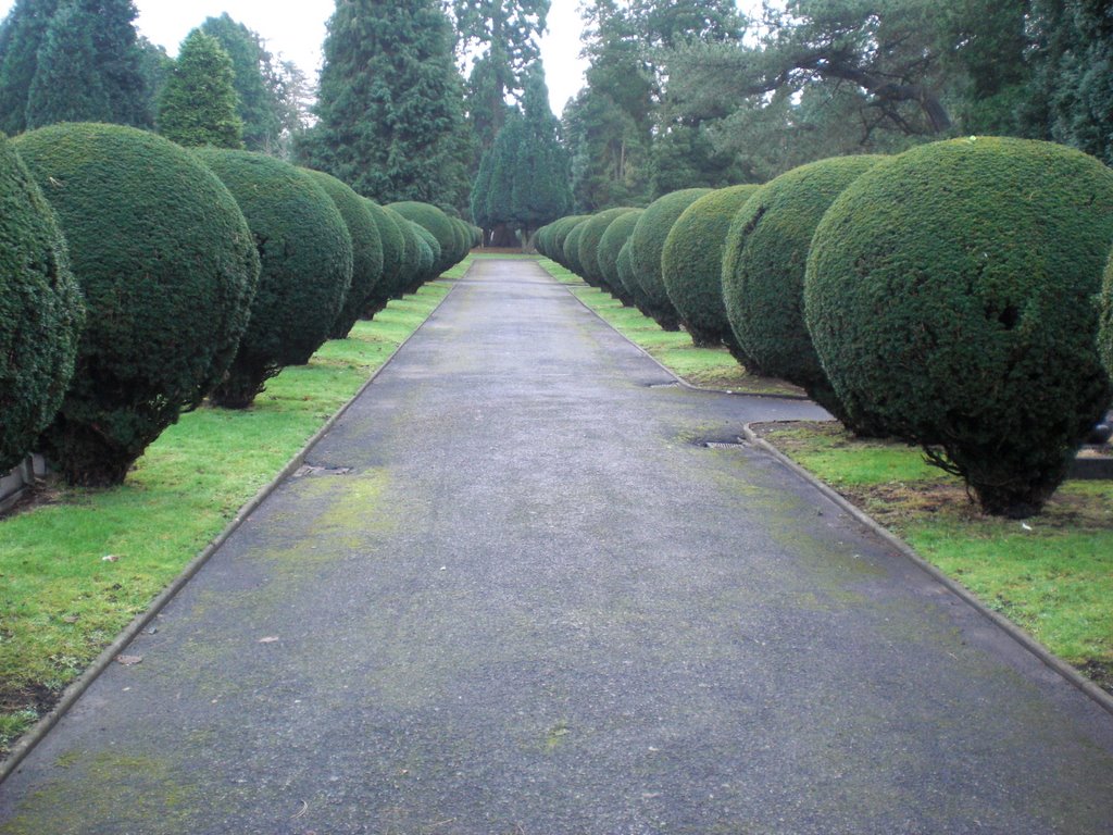 Bromsgrove Historic Walk