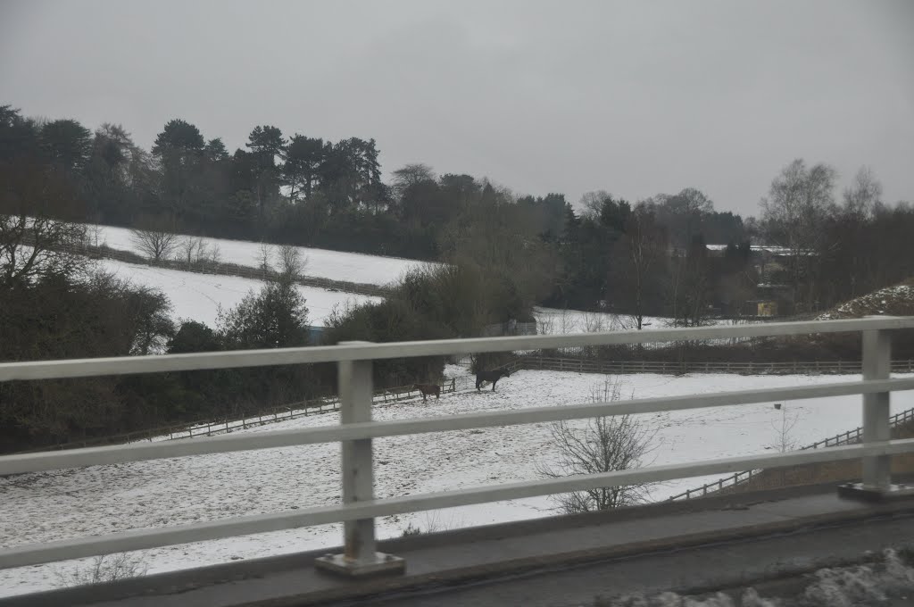 Bromsgrove : M5 Motorway Roadside