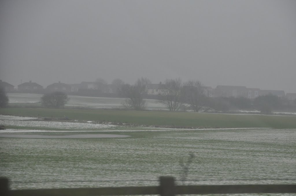 Bromsgrove : Grassy Field
