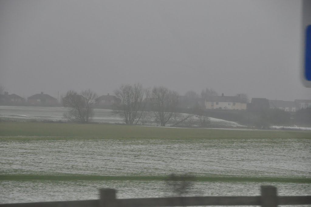 Bromsgrove : Grassy Field