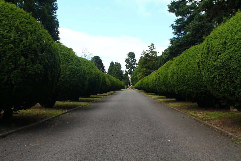 Bromsgrove Cemetery