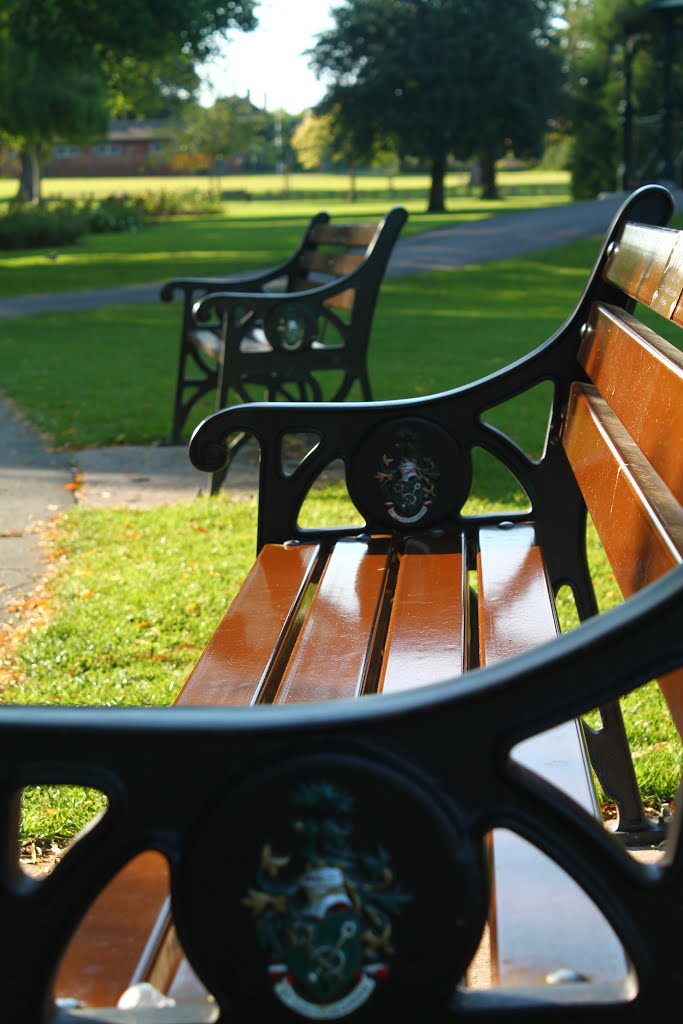 Sanders Park Benches