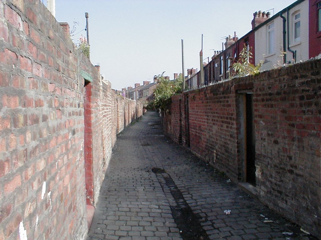 Alley