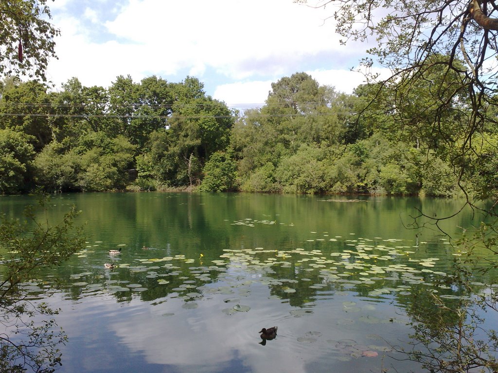 Creekmoor Pond 04_06_2009
