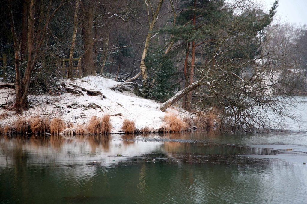 Creekmoor Pond