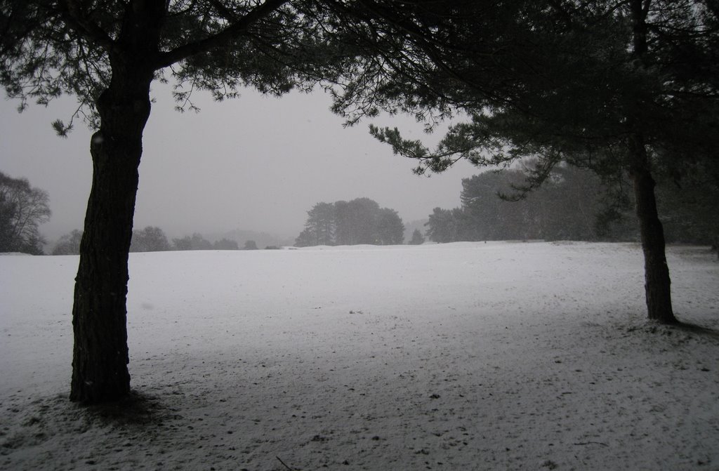 Winter Comes At Last To Dorset!!