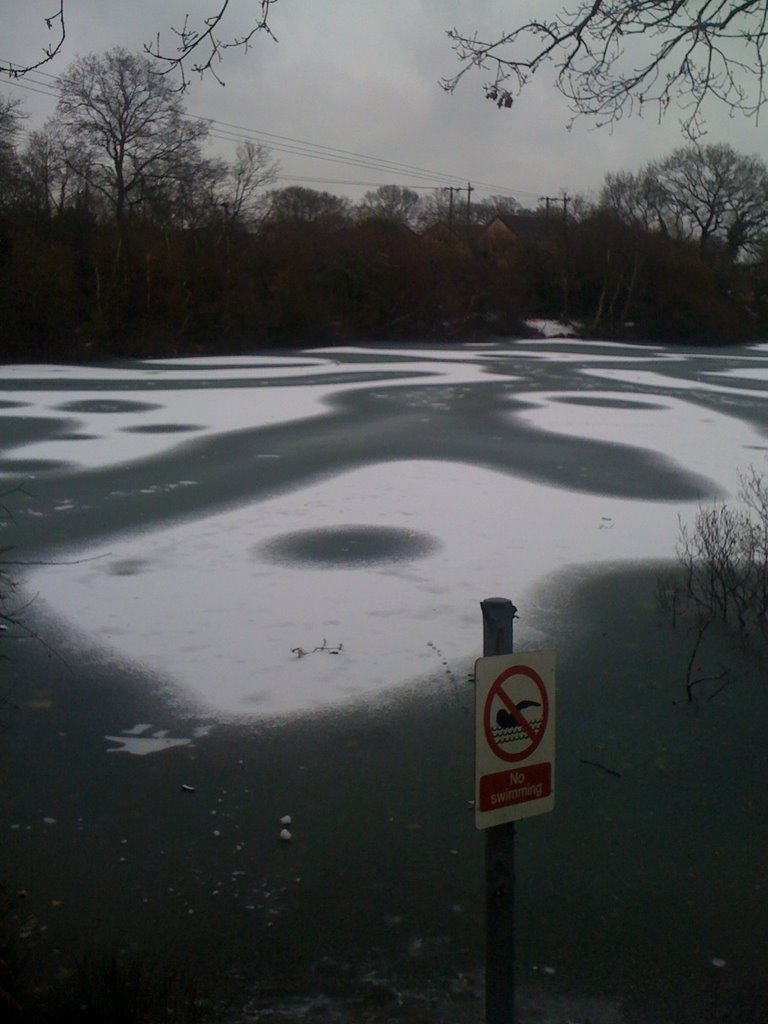Creekmoor pond