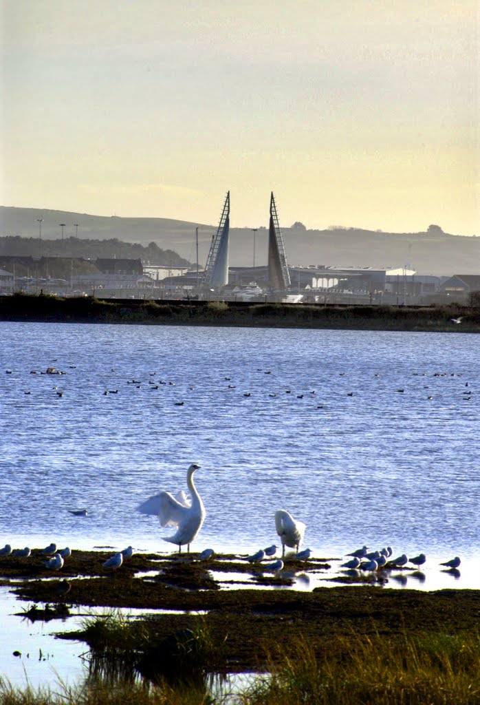 new Poole bridge from Upton Country Park